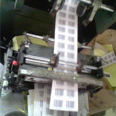 生鮮價(jià)格簽圖片 中國(guó)供應(yīng)商